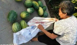 金寨吃瓜最新事件爆料